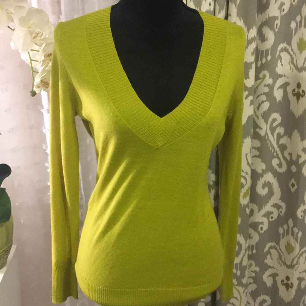 The Limited Kiwi Green Sweater Size M Long Sleeve